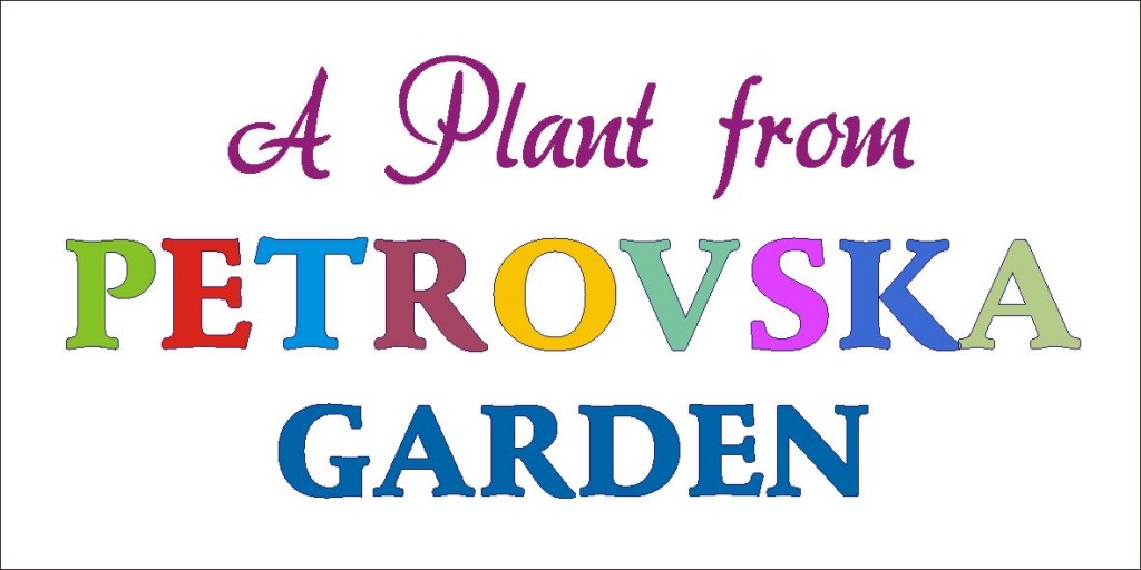 Petrovska Garden Plant Label